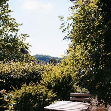 Ferienwohnung Kurpark Brilon Am Rothaarsteig المظهر الخارجي الصورة